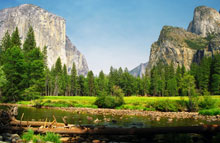 Tioga Pass i Californien er med på listen over de 5 smukkeste strækninger i USA.