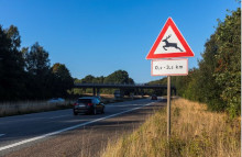 Trafikanter skal være mere opmærksomme på vilde dyr, når de ser hjorte-skiltet. Foto: Vejdirektoratet .